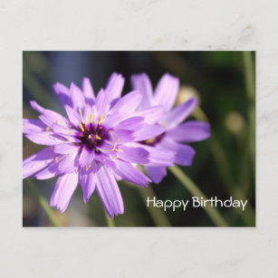 Cartes Postales Joyeux Anniversaire Fleur Marguerite Originales Zazzle Fr