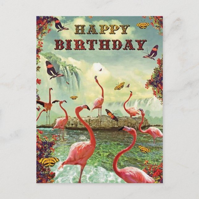 Carte Postale Joyeux anniversaire flamands roses (Devant)