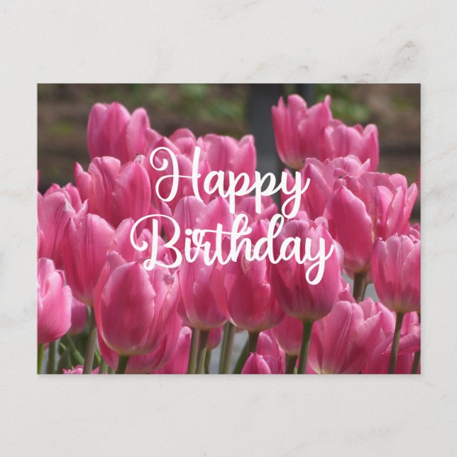 Carte Postale Joyeux Anniversaire Fleurs de Tulipe Rose  (Devant)