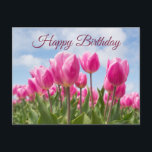Carte Postale Joyeux Anniversaire Fleurs Tulipes Roses<br><div class="desc">Fleurs de Tulipes Roses</div>