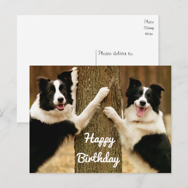 Carte D'anniversaire 3D Chien - Carte Postale Pop-up Créative Et Amusante - Pour Femme, Homme, Adulte, Enfant - Cadeau Humour - 13