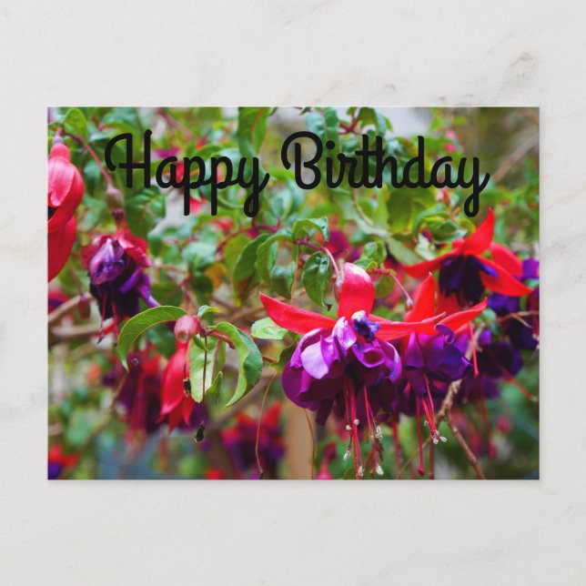 Carte postale Joyeux Anniversaire Fuchsia rouge et (Devant)