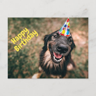 Carte Postale Joyeux anniversaire Funny Chien dans le Casquette 