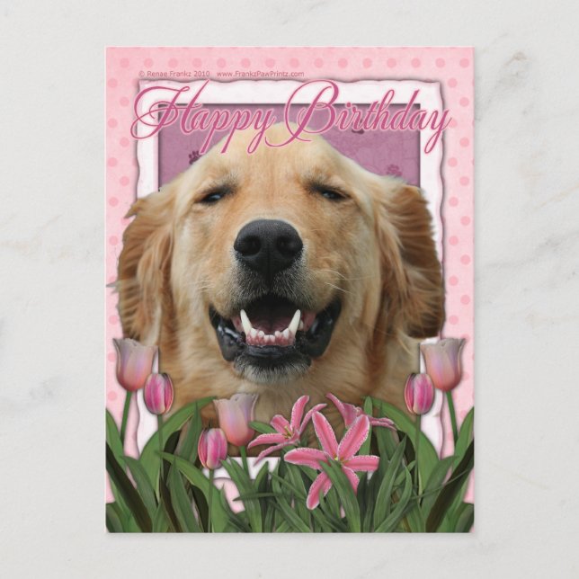 Carte Postale Joyeux anniversaire - Golden Retriever - Mickey (Devant)