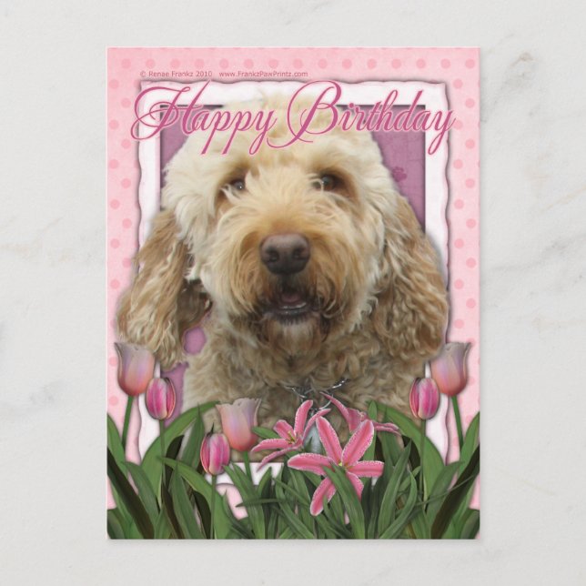 Carte Postale Joyeux anniversaire - Goldendoodle (Devant)