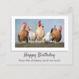 Carte Postale Joyeux Anniversaire Gray Des Poulets