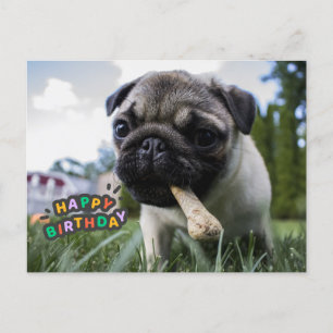 Carte Postale Joyeux Anniversaire Joli Chien avec l'Os