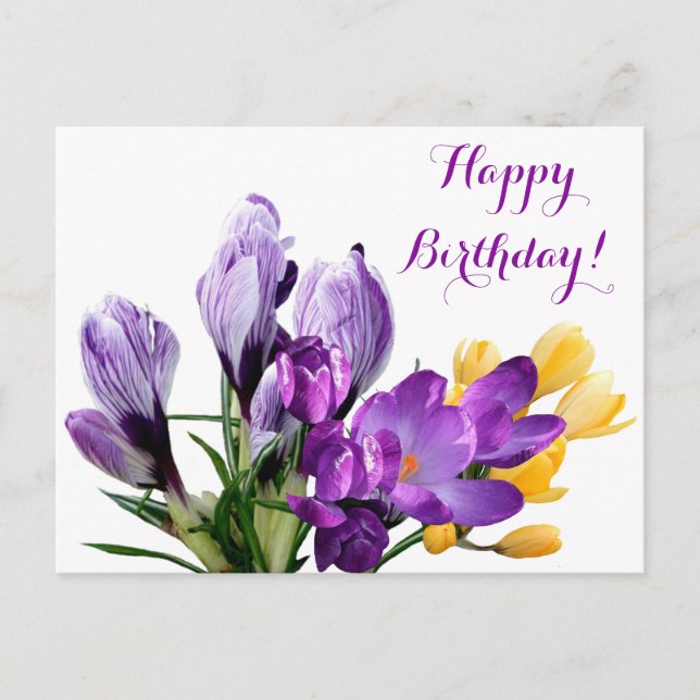 Carte Postale Joyeux Anniversaire joli crocus jaune violet fleur (Devant)