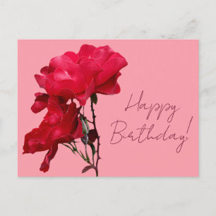 Carte Postale Joyeux anniversaire joli rose rouge rose coloré fl