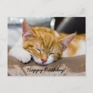 Carte Postale Joyeux Anniversaire Kitten