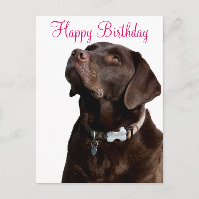 Carte Postale Joyeux anniversaire Labrador Retriever Dog Post Ca (Devant)