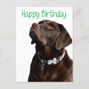 Carte Postale Joyeux anniversaire Labrador Retriever Dog Post Ca