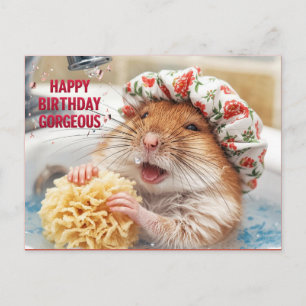 Carte Postale Joyeux Anniversaire Magnifique – Souris de Bain Dr