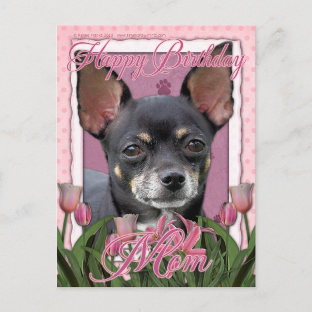 Carte Postale Joyeux Anniversaire Maman - Chihuahua - Isabella (Devant)