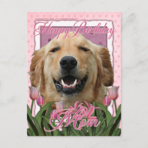 Carte Postale Joyeux Anniversaire maman - Golden Retriever - Mic