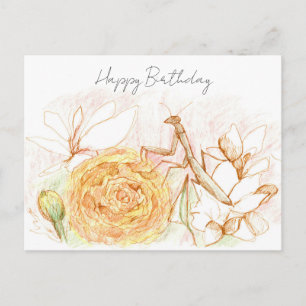 Carte Postale Joyeux Anniversaire Mante Religieuse Jardin Bug