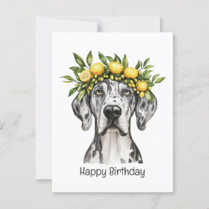 Carte Postale Joyeux Anniversaire Merle Grand Danois Chien Couro