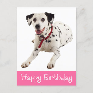 Carte Postale Joyeux anniversaire mignon Amoureux des chiens chi