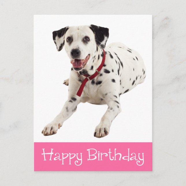 Carte Postale Joyeux anniversaire mignon Amoureux des chiens chi (Devant)