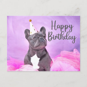 Carte Postale Joyeux Anniversaire Mignon Drôle Bouledogue França