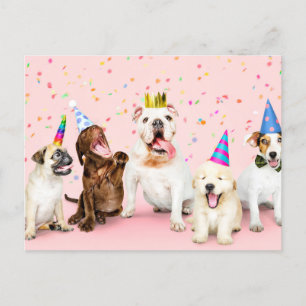 Carte Postale Joyeux Anniversaire Mignons Animaux de Fête