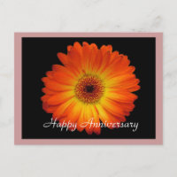 Joyeux anniversaire orange gerbera marguerite