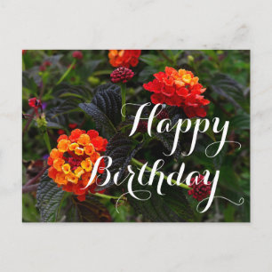 Carte Postale Joyeux Anniversaire Orange Rouge Traînante Lantana