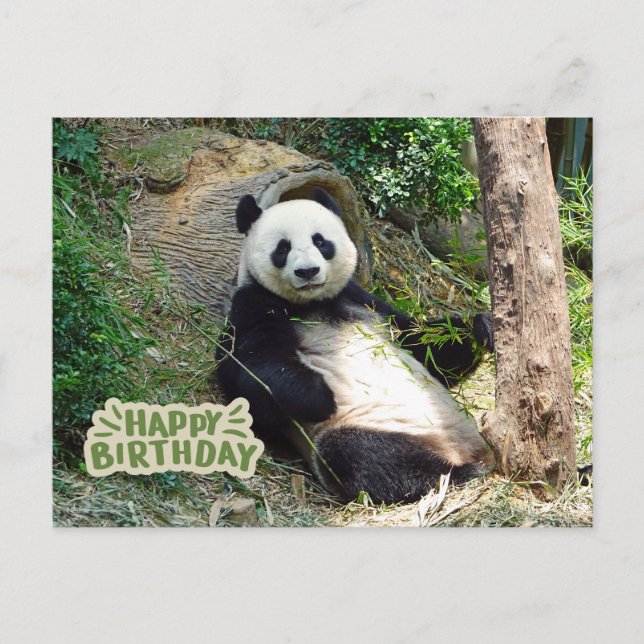 Carte Postale Joyeux Anniversaire Ours Panda Géant  (Devant)