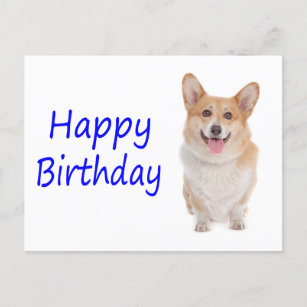 Cartes Postales Chien Joyeux Anniversaire Originales Zazzle Fr