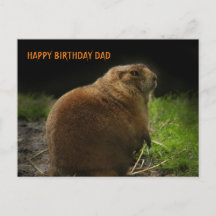 JOYEUX ANNIVERSAIRE PÈRE Woodchuck Photo de la mar