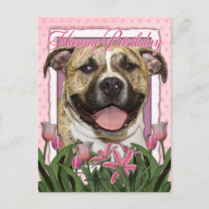 Carte Postale Joyeux anniversaire - Pitbull - Tigger