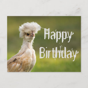 Carte Postale Joyeux Anniversaire Poulet Polonais
