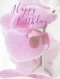 Cadeaux Orchidee Zazzle Fr Cadeaux Orchidee Zazzle Fr