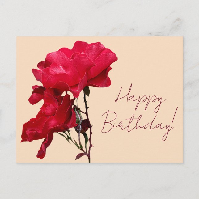 Carte Postale Joyeux Anniversaire rose rouge fleurs boho fleurie (Devant)
