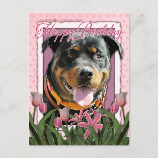 Carte Postale Joyeux anniversaire - Rottweiler - SambaParTi (Devant)