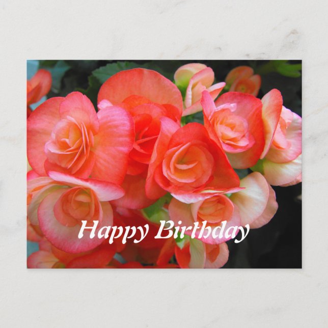 Carte Postale joyeux anniversaire rouge fleurs de begonia (Devant)