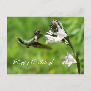 Carte postale Joyeux Anniversaire Ruby Throated Hu