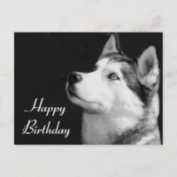 Joyeux Anniversaire Sibérie Husky Chien Chien Pot 