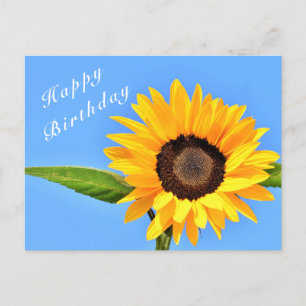 Carte Postale Joyeux anniversaire - Tournesol Jaune sur le ciel 