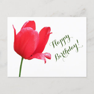 Carte Postale Joyeux anniversaire tulip rouge minimaliste boho f
