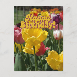 Carte Postale Joyeux Anniversaire Tulipes Fleurales Jaunes et Ro