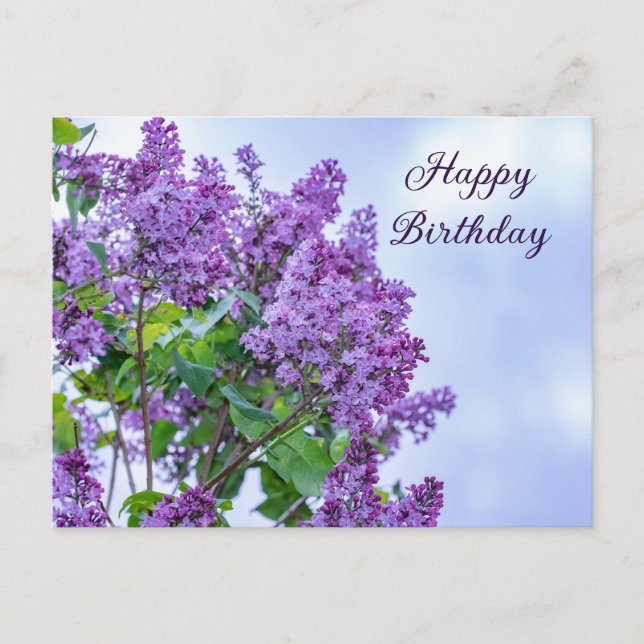 Carte Postale Joyeux Anniversaire Vibrant Fleurs Lilac Violet (Devant)
