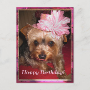 Carte Postale Joyeux anniversaire Yorkie