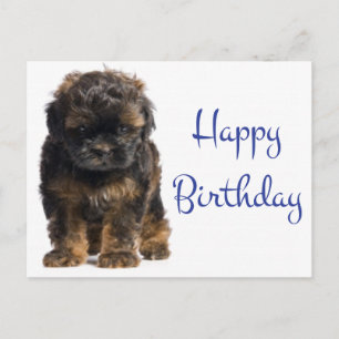 Carte Postale Joyeux Bébé Havanais Chien Chien Chien Chien Chien