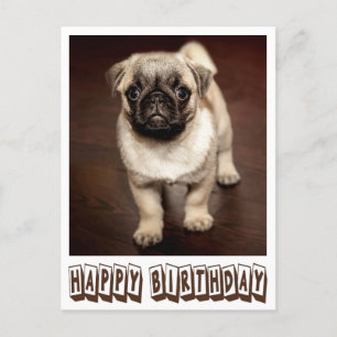 Carte Postale Joyeux Carlin d'anniversaire Chien Chien Chien Chi