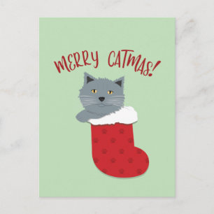 Carte Postale Joyeux Cat Noël