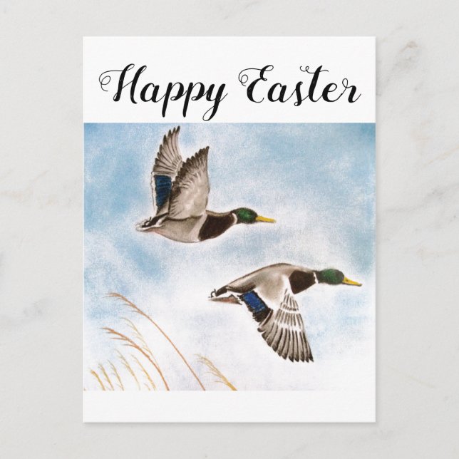 Carte Postale Joyeux chasseurs de canards de Pâques (Devant)