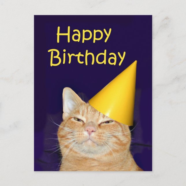 Carte Postale Joyeux chat Joyeux anniversaire (Devant)