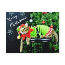 Carte postale Joyeux chat Noël