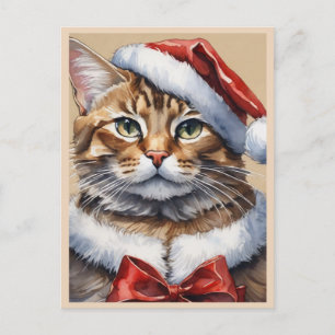 Carte postale Joyeux chat Noël